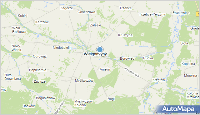 mapa Wielgomłyny-Ślepa Dróżka, Wielgomłyny-Ślepa Dróżka na mapie Targeo